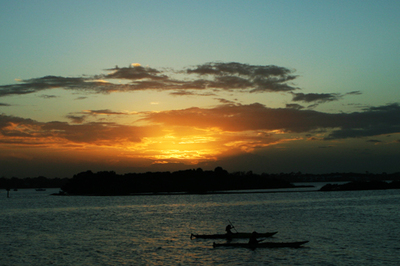 daytona_beach_nature_photography003.jpg