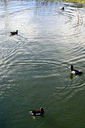 1-20-08_006.jpg