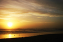 daytona_beach_nature_photography004.jpg