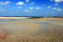 daytona_beach_nature_photography012.jpg