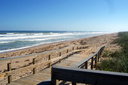 daytona_beach_nature_photography013.jpg