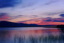 daytona_beach_nature_photography015.jpg