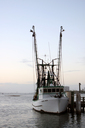 daytona_beach_nature_photography005.jpg