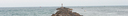 Filename=Halifax-1004.jpg
Filesize=160KiB
Dimensions=1200x150
Date added=Jan 09, 2023 Halifax-1004.jpg