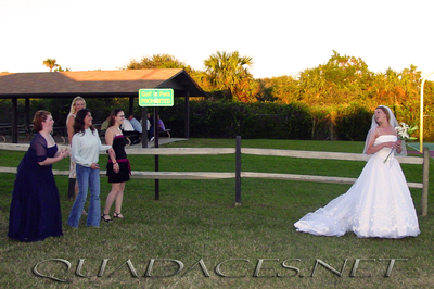 wedding-candid-nash-012.jpg