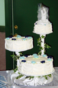 wedding-formal-nash-020.jpg